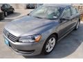Platinum Gray Metallic - Passat 2.5L SE Photo No. 3