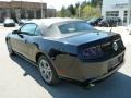 Black - Mustang V6 Premium Convertible Photo No. 3