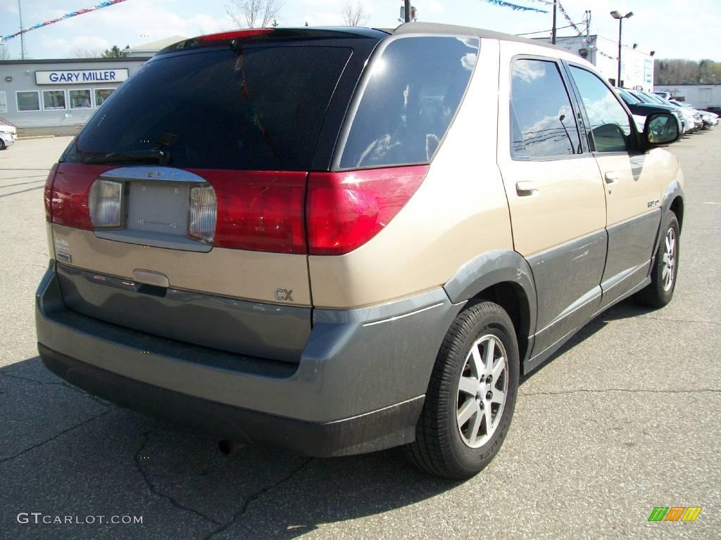 2002 Rendezvous CX AWD - Sedona Bronze / Medium Oak photo #6