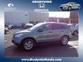 Opal Sage Metallic 2011 Honda CR-V EX