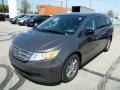 2013 Smokey Topaz Metallic Honda Odyssey EX  photo #7