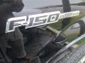 2011 Tuxedo Black Metallic Ford F150 Platinum SuperCrew 4x4  photo #2