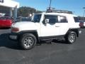 Iceberg White - FJ Cruiser 4WD Photo No. 11