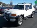 Iceberg White - FJ Cruiser 4WD Photo No. 13