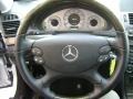 Iridium Silver Metallic - E 550 Sedan Photo No. 15
