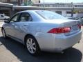Meteor Silver Metallic - TSX Sedan Photo No. 7
