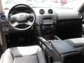 Black - ML 350 Photo No. 21