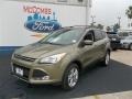 2013 Ginger Ale Metallic Ford Escape SE 1.6L EcoBoost  photo #2