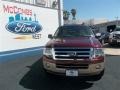 2013 Autumn Red Ford Expedition XLT  photo #1
