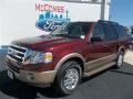 2013 Autumn Red Ford Expedition XLT  photo #2