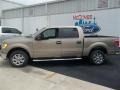 2013 Pale Adobe Metallic Ford F150 XLT SuperCrew  photo #3