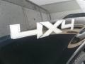 2013 Tuxedo Black Metallic Ford F150 Platinum SuperCrew 4x4  photo #8