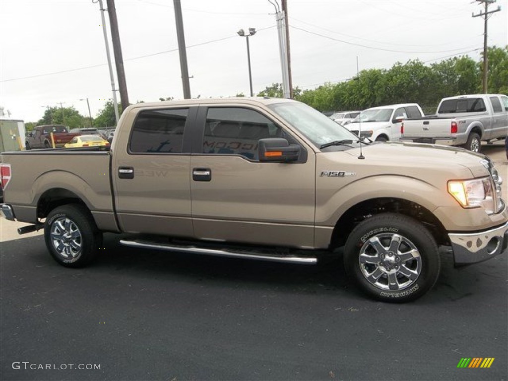 2013 F150 XLT SuperCrew - Pale Adobe Metallic / Adobe photo #8