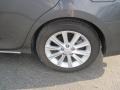 Magnetic Gray Metallic - Camry XLE V6 Photo No. 6