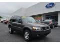 Dark Shadow Grey Metallic 2006 Ford Escape Hybrid