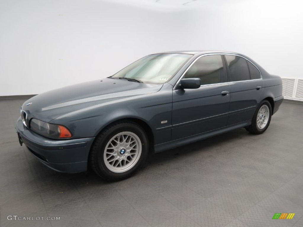 2001 Bmw 525i paint colors