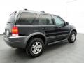 Black Clearcoat - Escape XLT V6 Photo No. 3
