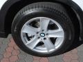 Alpine White - X5 4.8i Photo No. 3