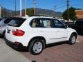 Alpine White - X5 4.8i Photo No. 9