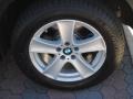 Alpine White - X5 4.8i Photo No. 13