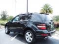 Black - ML 350 Photo No. 5