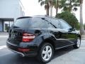 Black - ML 350 Photo No. 7