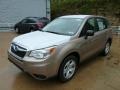 2014 Burnished Bronze Metallic Subaru Forester 2.5i  photo #8