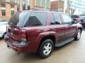 2005 Majestic Red Metallic Chevrolet TrailBlazer LS 4x4  photo #11