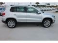 Reflex Silver Metallic - Tiguan SE Photo No. 10