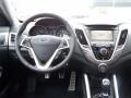 Vitamin C - Veloster  Photo No. 16