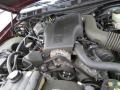 4.6 Liter SOHC 16 Valve V8 2004 Mercury Grand Marquis LS Engine