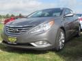 Harbor Gray Metallic - Sonata SE Photo No. 7