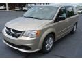 Sandstone - Grand Caravan SE Photo No. 2