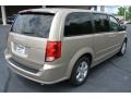 Sandstone - Grand Caravan SE Photo No. 5