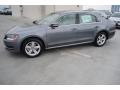 Platinum Gray Metallic - Passat TDI SE Photo No. 4