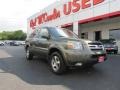 2006 Amazon Green Metallic Honda Pilot EX-L 4WD #80425309