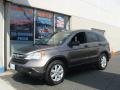 2009 Borrego Beige Metallic Honda CR-V EX 4WD  photo #1