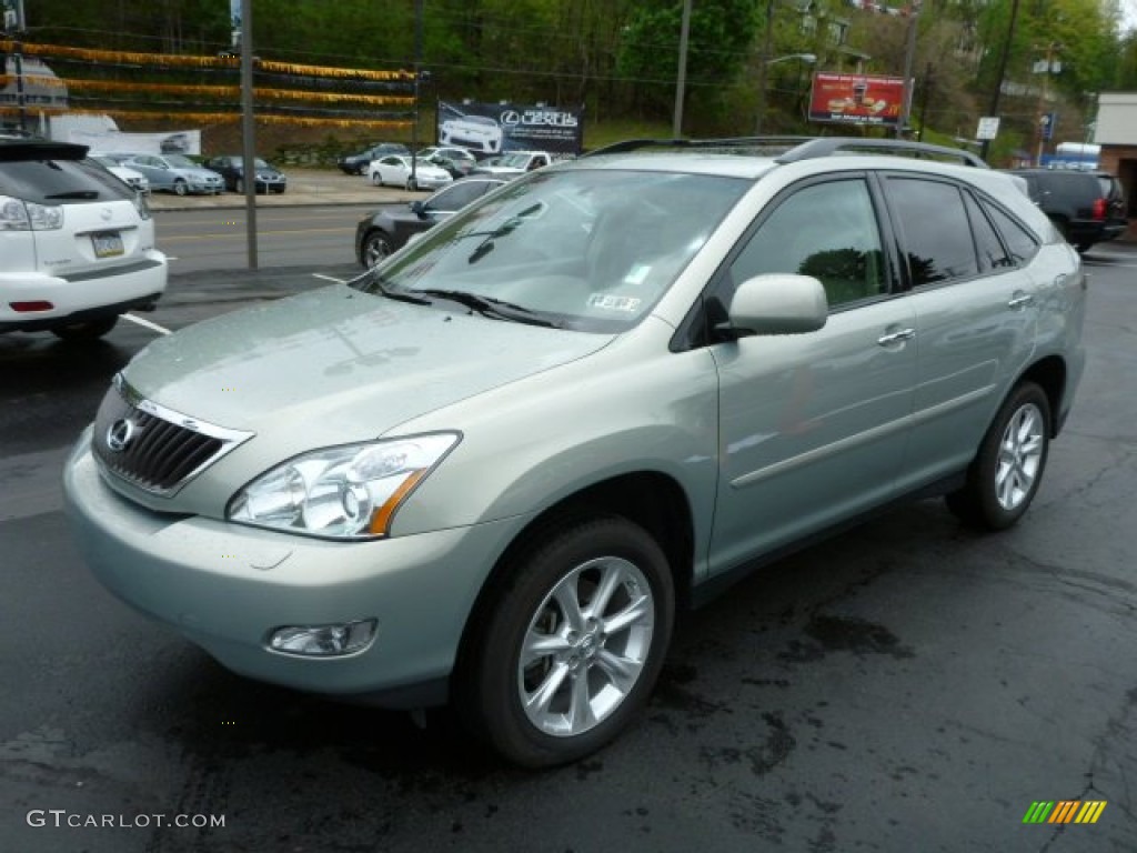 Bamboo Pearl 2009 Lexus RX 350 AWD Exterior Photo #80450867