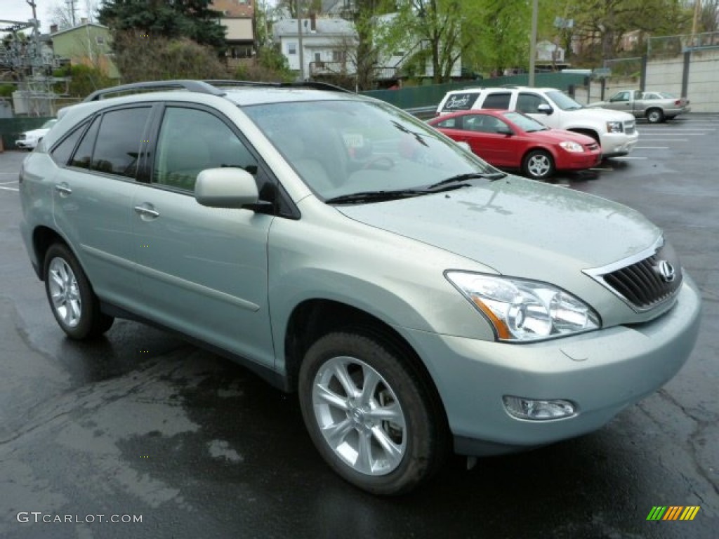 Bamboo Pearl 2009 Lexus RX 350 AWD Exterior Photo #80450885