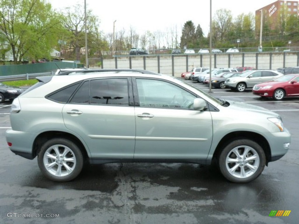 Bamboo Pearl 2009 Lexus RX 350 AWD Exterior Photo #80451087