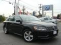 Black - Passat 2.5L SE Photo No. 1