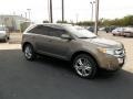 2013 Mineral Gray Metallic Ford Edge Limited  photo #16