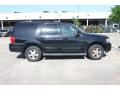 Black Clearcoat - Expedition Eddie Bauer Photo No. 8