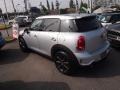 Crystal Silver - Cooper S Countryman Photo No. 12