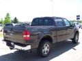 2007 Dark Stone Metallic Ford F150 XLT SuperCrew 4x4  photo #5