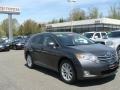 Magnetic Gray Metallic - Venza AWD Photo No. 1