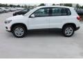 Candy White - Tiguan S Photo No. 5