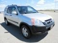 2004 Satin Silver Metallic Honda CR-V EX 4WD  photo #5