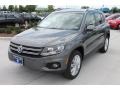 Pepper Gray Metallic - Tiguan SE Photo No. 3