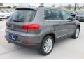 Pepper Gray Metallic - Tiguan SE Photo No. 9